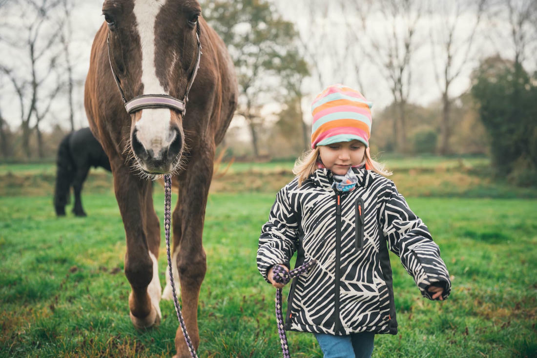 Pferdefotos als Reportage mit Kind und Familie