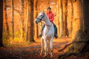 Pferdefotos im Münsterland